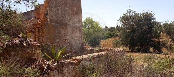 Дом с 4 спальнями в Пешан, Португалия № 22138 7