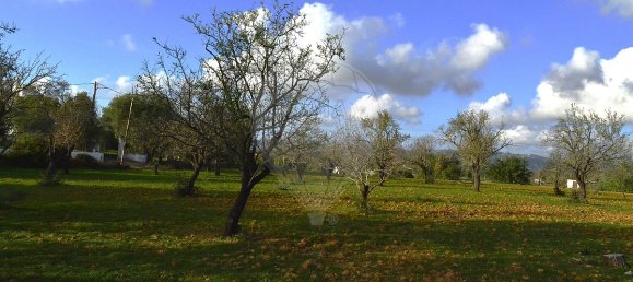 Дом с 4 спальнями в Пешан, Португалия № 22138 23