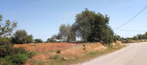 Дом с 4 спальнями в Пешан, Португалия № 22138 10