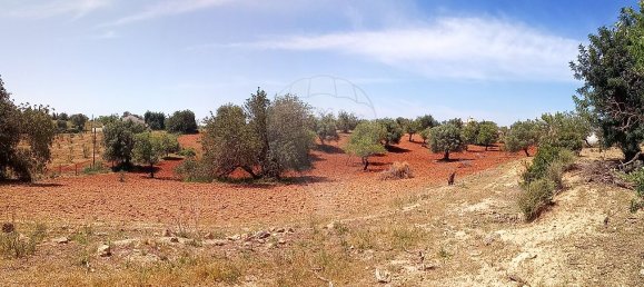 Дом с 4 спальнями в Пешан, Португалия № 22138 16