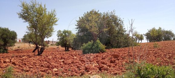 Дом с 4 спальнями в Пешан, Португалия № 22138 15