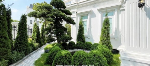 5 chambres Villa à Long Bien, Vietnam No. 738 23