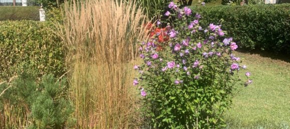 3 chambres Maison à Sigmaringen, Germany No. 279536 6