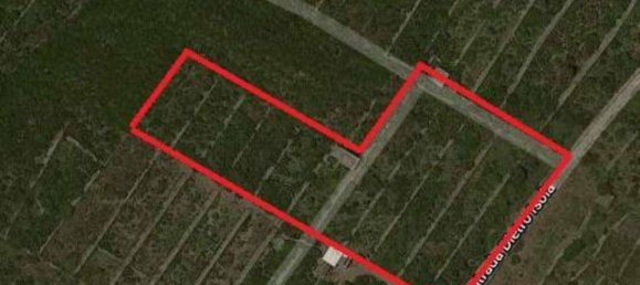 3 bedrooms House in Pantelleria, Italy No. 82337 21