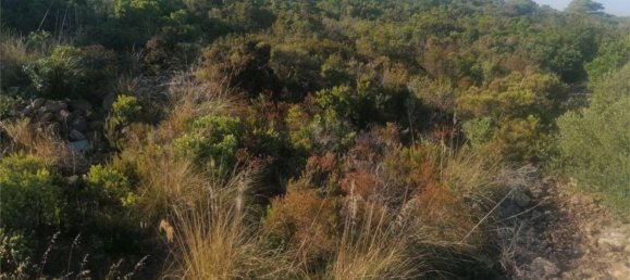 3 bedrooms House in Pantelleria, Italy No. 82337 9