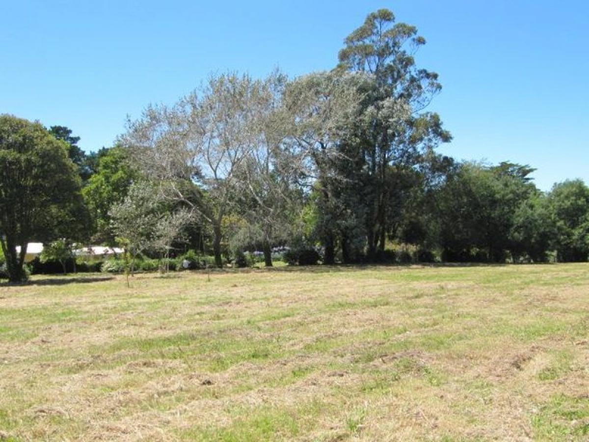  Land in General Pueyrredon, Argentina No. 46870