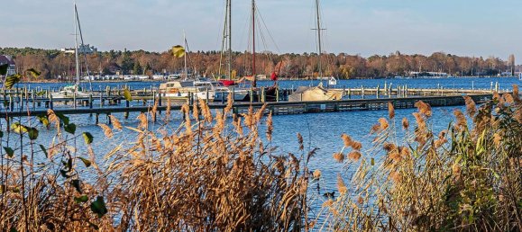 5-Zimmer Gewerbliche Immobilie in Schlachtensee, Germany, Nr. 44448 10