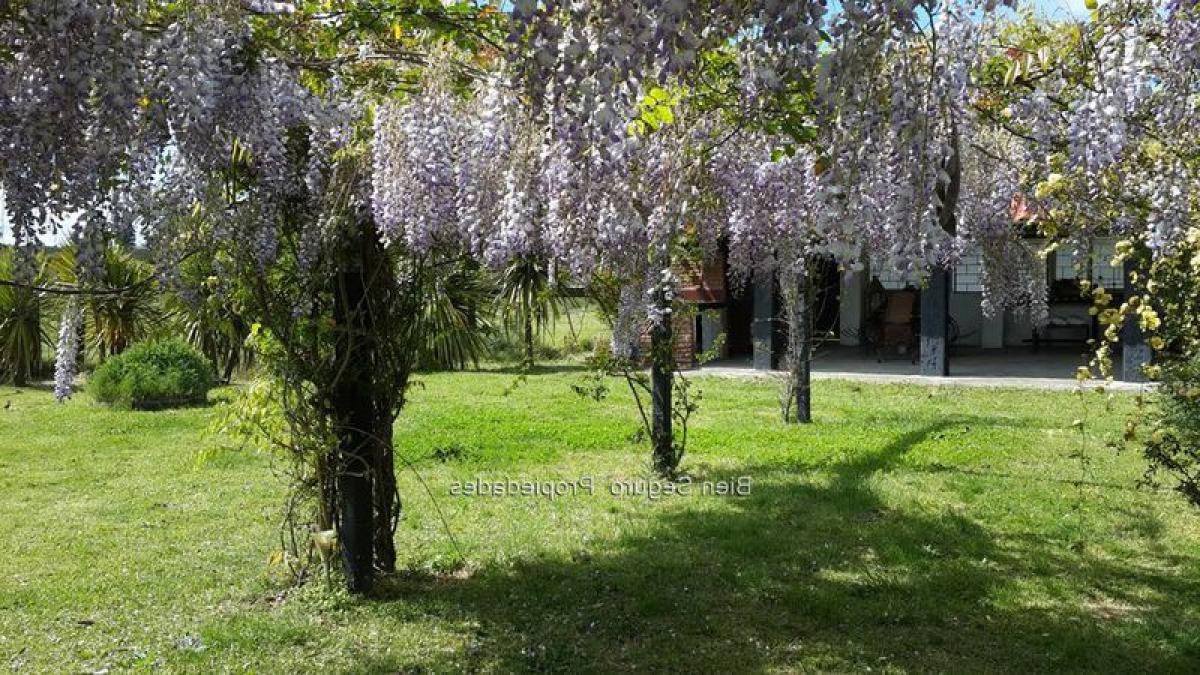 3 bedrooms House in Canelones, Uruguay No. 3644