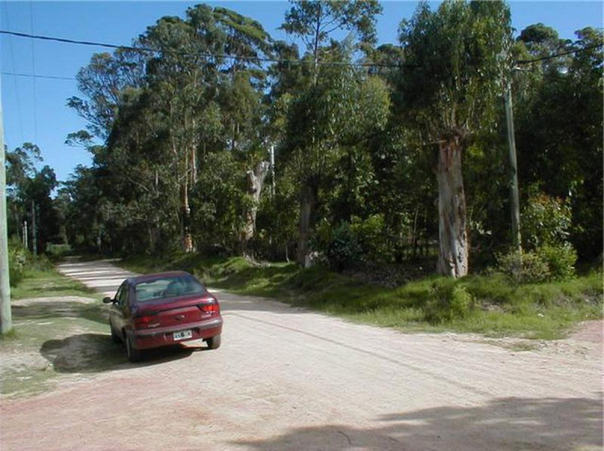  قطعة أرض في Maldonado, Uruguay رقم 14449