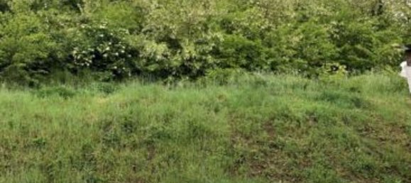 706m² Warehouse in Villalvernia, Italy No. 328751 7