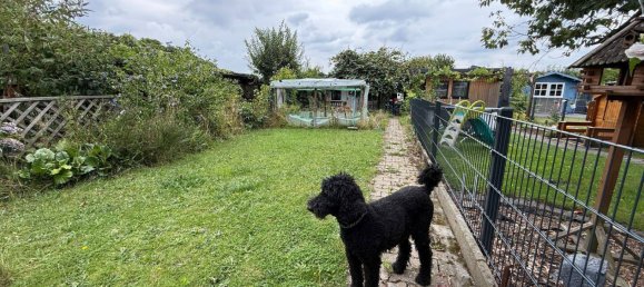 2 bedrooms Townhouse in Aachen, Germany No. 291532 4