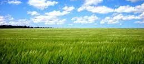 25000m² Land in Abano Terme, Italy No. 163105 6