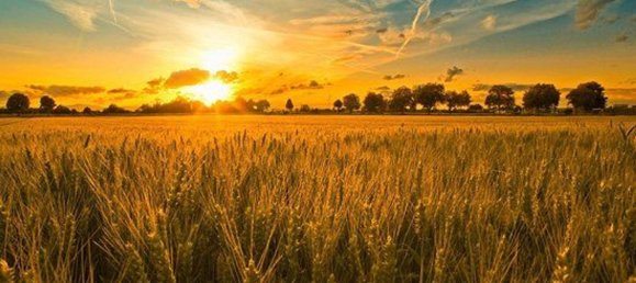 25000m² Land in Abano Terme, Italy No. 163105 5