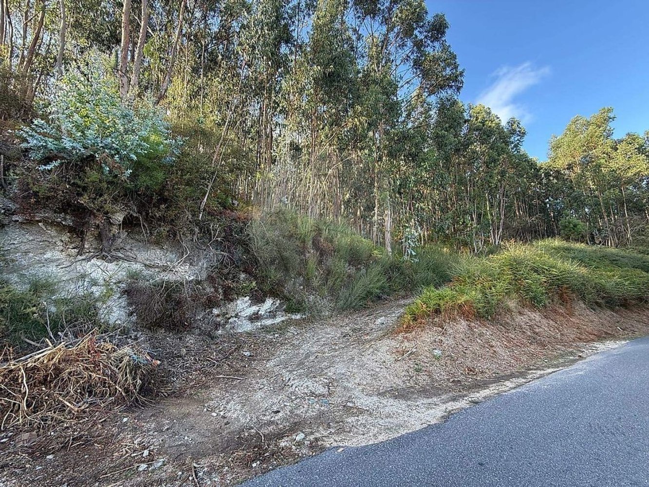  Land in Cendufe, Portugal No. 340962