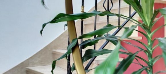 4 bedrooms Townhouse in Groix, France No. 306983 5