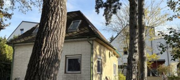 Дом с 12 комнатами в Мёдлинг, Австрия № 178920 4