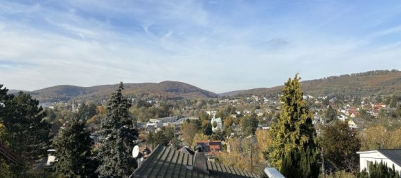 Дом с 12 комнатами в Мёдлинг, Австрия № 178920 2