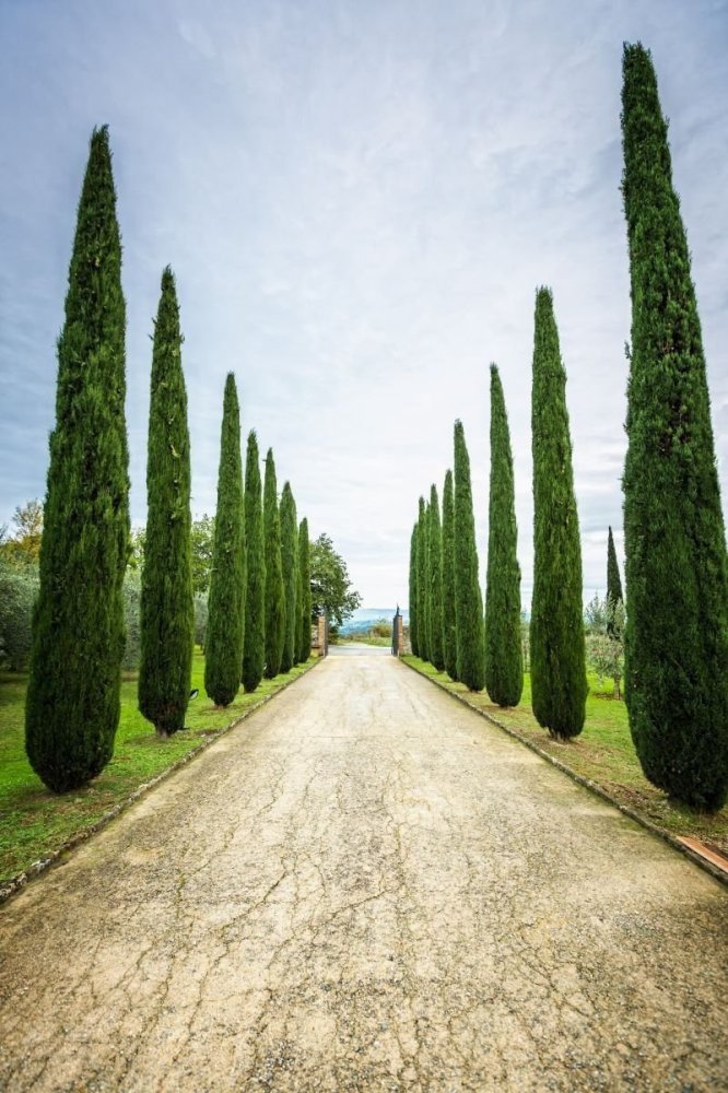 Земельный участок с 10 комнатами в Гамбург, Германия № 26096