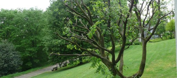 2 Schlafzimmer Wohnung in Wuppertal, Germany, Nr. 40151 21