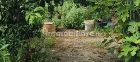 7 chambres Villa à Massa, Italy No. 170943 5