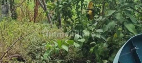 7 chambres Villa à Massa, Italy No. 170943 7