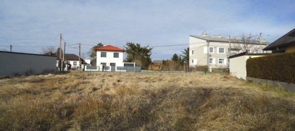 Земельный участок в Перхтольдсдорф, Австрия № 165726 4