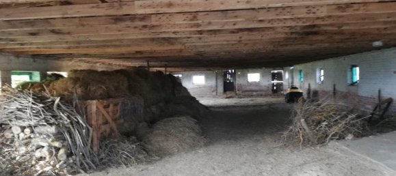 7 Schlafzimmer Bauernhof in Vorpommern-Greifswald, Germany, Nr. 344184 13