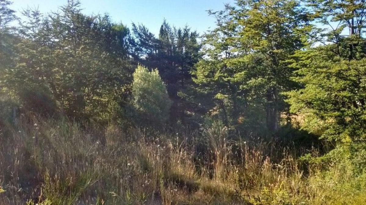  Land in Neuquen, Argentina No. 44211