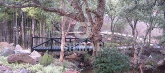 5 bedrooms House in Tarifa, Spain No. 165524 7