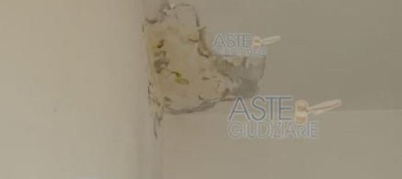 3 rooms Apartment in Riccione, Italy No. 11425 13