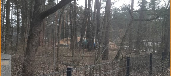  Land in Potsdam-Mittelmark, Germany No. 237267 15