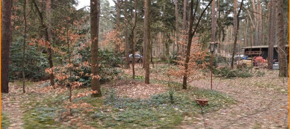  Land in Potsdam-Mittelmark, Germany No. 237267 4