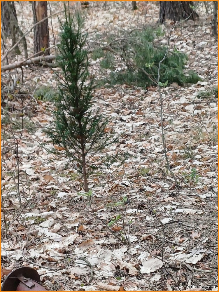  Land in Potsdam-Mittelmark, Germany No. 237267