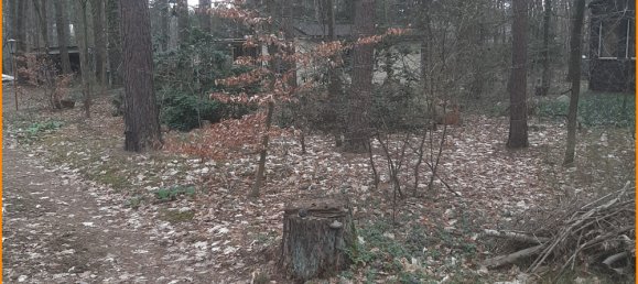  Land in Potsdam-Mittelmark, Germany No. 237267 14