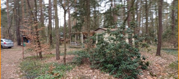  Land in Potsdam-Mittelmark, Germany No. 237267 5