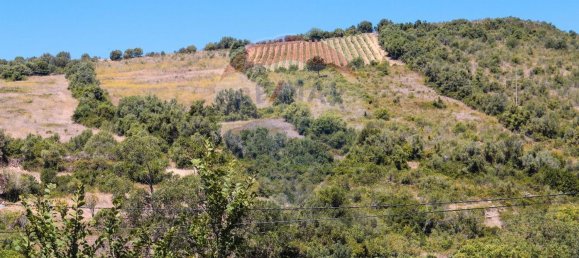 3 bedrooms House in Mafra, Portugal No. 42091 5