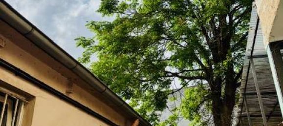 12 rooms Building in Frankfurt am Main, Germany No. 291160 4