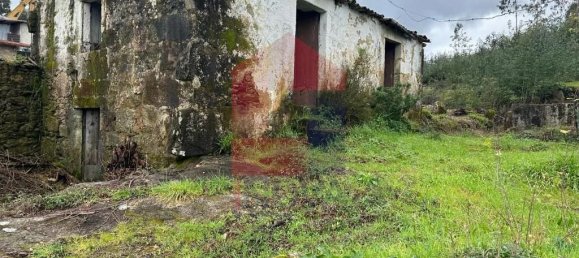 3 Schlafzimmer Haus in Sabariz, Portugal, Nr. 36820 20