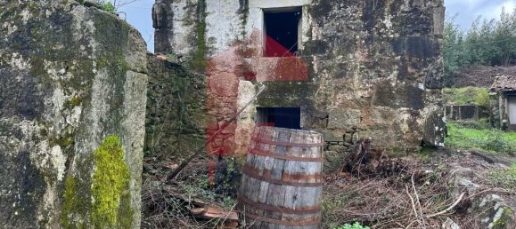 3 Schlafzimmer Haus in Sabariz, Portugal, Nr. 36820 18