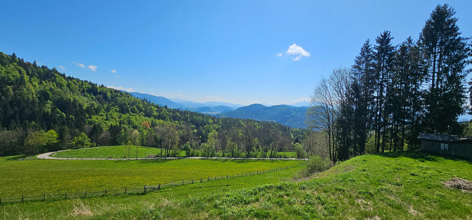 Land in Magdalensberg, Austria No. 131484