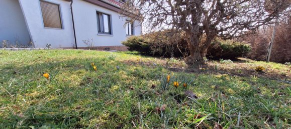 4 Schlafzimmer Haus in Unstrut-Hainich-Kreis, Germany, Nr. 232786 28