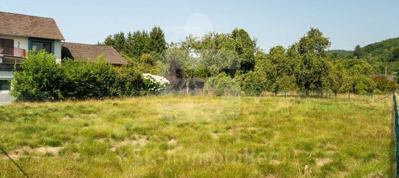 Terrain à Rhein-Sieg, Germany No. 324211 11