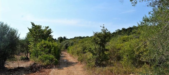 30000m² Hotel in Corfu, Greece No. 4592 4