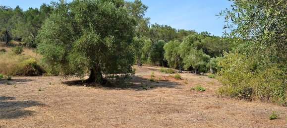 Отель, гостиница 30000м² в Керкира, Центральная Керкира и Диапонтии-Ниси, Керкира, Ионические острова, Пелопоннес, Западная Греция и Ионические острова, Греция № 4592 8