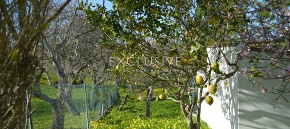 Studio in Lagos, Portugal No. 7597 7