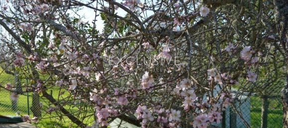 Studio in Lagos, Portugal No. 7597 8