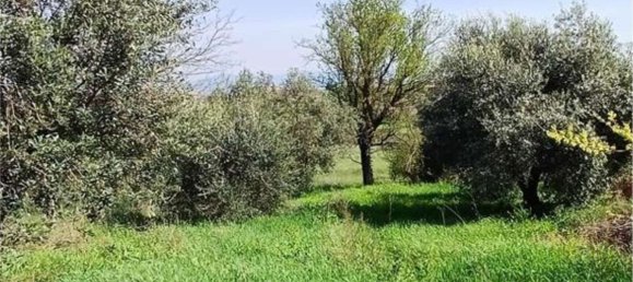 3 chambres Appartement à Zagarolo, Italy No. 379513 16