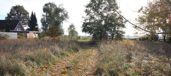 4 rooms House in Oberhavel, Germany No. 18643 15