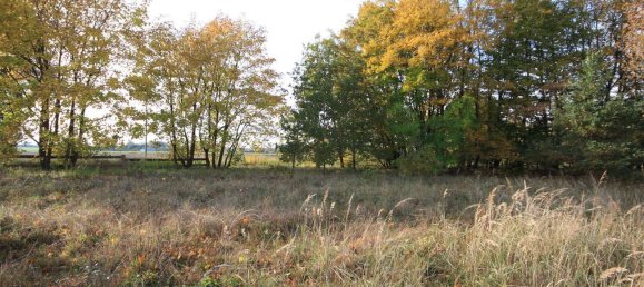 4 rooms House in Oberhavel, Germany No. 18643 17