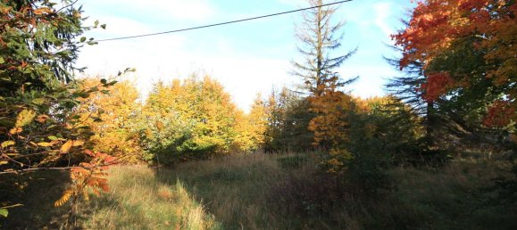 4 rooms House in Oberhavel, Germany No. 18643 10